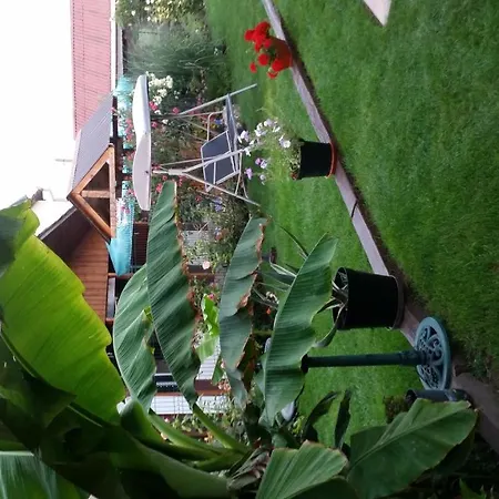 Konukevi Chg