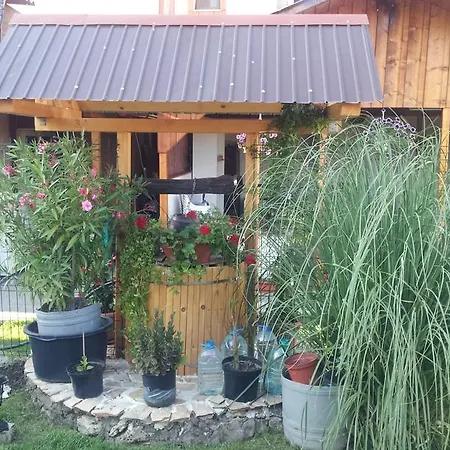 Guest house Chg Costinesti